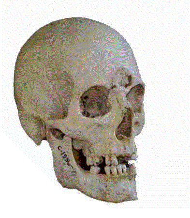 fit01.jpg (22492 bytes)